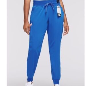 Used jaanuu women’s 13-pocket scrub jogger royal blue size xs petite